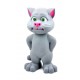 Motanul vorbitor jucaria Big Talking Tom, cu suntete si lumini LX175A