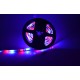 Banda LED RGB, 5 metri liniari, 60 LED-uri/m - MYLED2