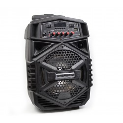 Boxa Portabila Activa bluetooth, cu led-uri si USB/SD CARD, RADIO FM - SPF8