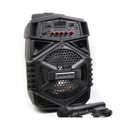 Boxa Portabila Activa bluetooth, cu led-uri si USB/SD CARD, RADIO FM - SPF8