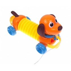 Catelusul de tras acordeon WD3772