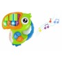 Pianina Papagal pentru copii cu melodii sunete de pasari si animale 