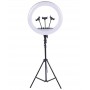 Ring light Lampa circulara LED cu trepied, 46 cm, 3 suporturi de telefon, telecomanda, alimentare 220V, inaltime reglabila trepied - RL18