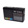 Radio cu MP3 Bluetooth Panou Solar Lanterna USB, TF, AUX, Negru - RX1313