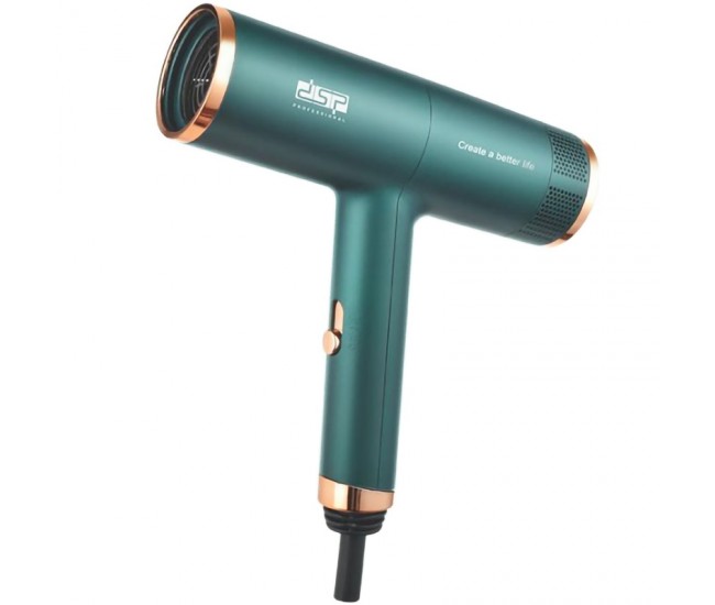 Uscator de par profesional DSP, 2 trepte viteza, 2 trepte temperatura, putere 1200 W, verde