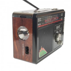 Radio MP3 portabil, baterie reincarcabila, USB, TF, AUX, Maro - BA8058SLUR