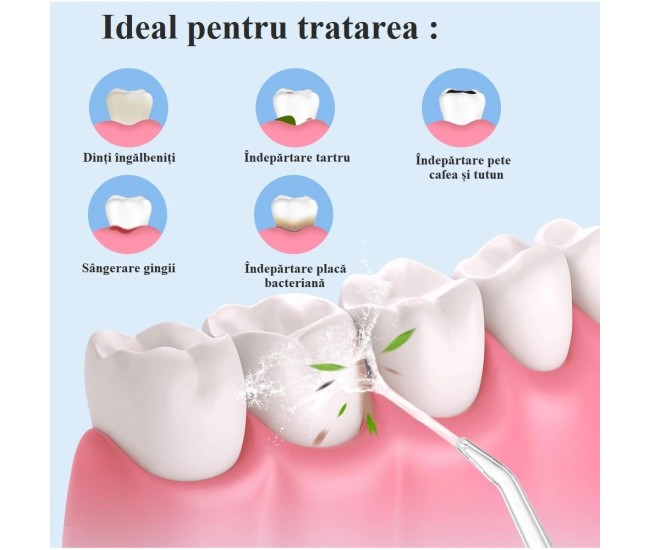 Irigator Oral Profesional pentru dus bucal, 4 Capete Curatare Anti-Tartru, Rezervor 220 ml, Alb