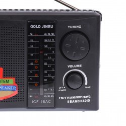 Radio MP3 cu AUX, 150 W, negru - ICF18AC
