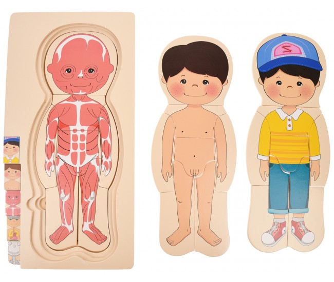 Set corpul uman din lemn, jucarie pentru invatat anatomie, fata - 22200145F Set corpul uman din lemn, jucarie pentru invatat anatomie, fata - 22200145F