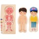 Set corpul uman din lemn, jucarie pentru invatat anatomie, fata - 22200145F Set corpul uman din lemn, jucarie pentru invatat anatomie, fata - 22200145F