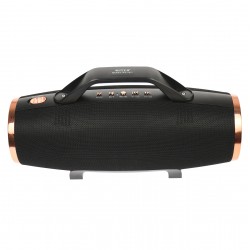 Boxa portabila de dimensiuni mari, cu lanterna, reincarcabila, radio FM, 20 W - WS1837