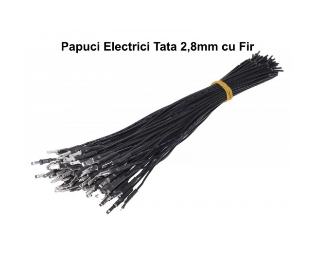 PAPUC ELECTRIC 2,8MM TATA CU FIR ,100BUC/SET