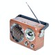 RADIO PORTABIL 3 BAND FM-AM-SW ,MP3 ,USB,CARD TF, MK-612