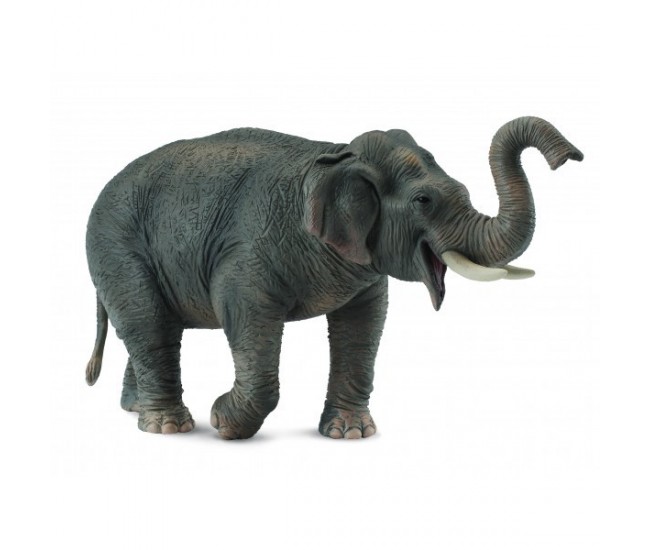 Figurina elefant asiatic xl collecta
