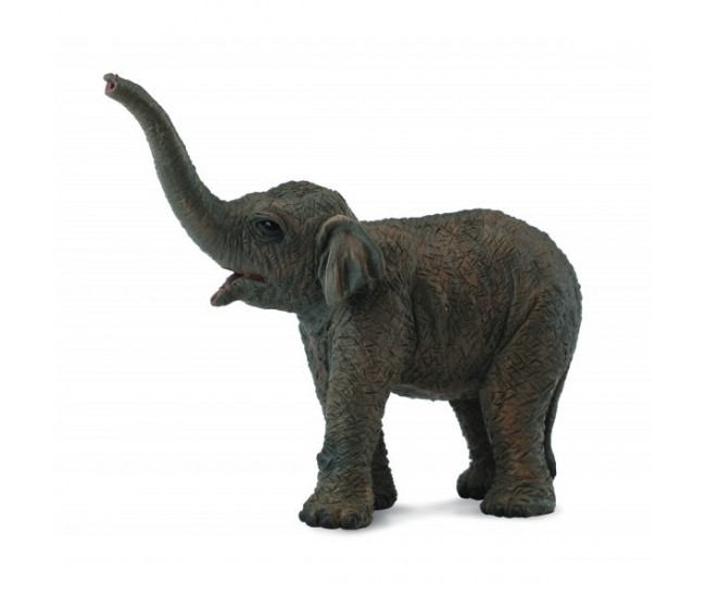 Figurina pui de elefant asiatic s collecta
