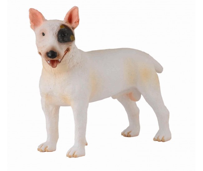 Caine bull terrier mascul - collecta