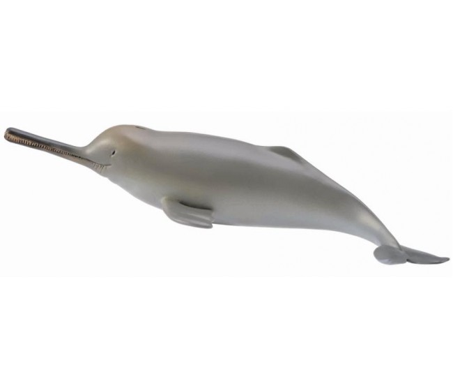 Figurina delfin de gange m collecta