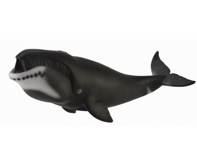 Figurina balena bowhead xl collecta