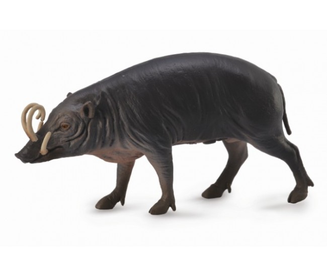 Figurina porc sulawesi babirusa l collecta