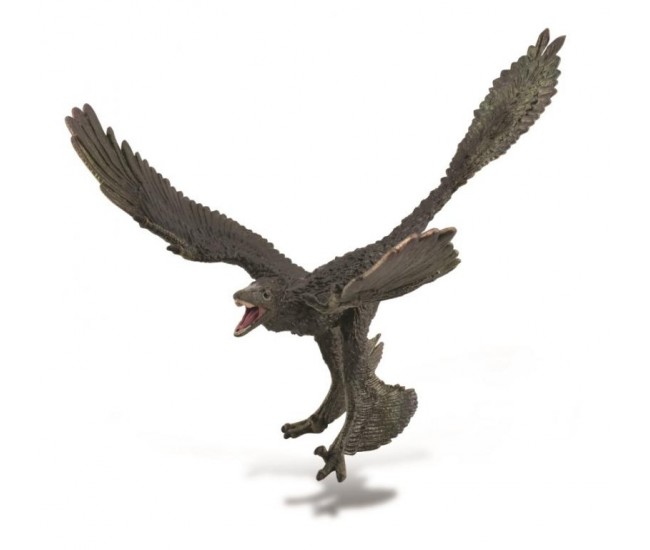 Figurina dinozaur microraptor pictata manual xl collecta