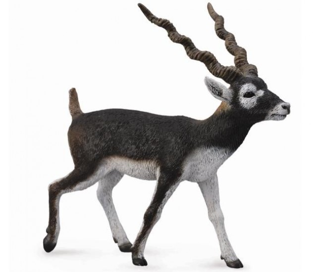 Figurina pictata manual antilopa blackbuck