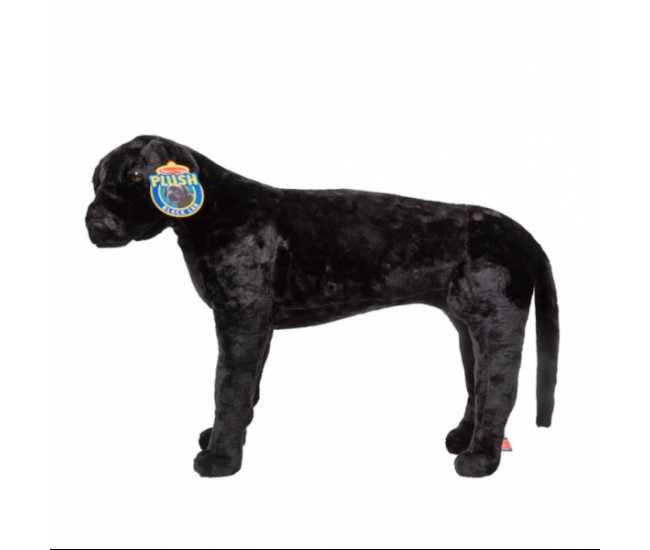 Catel labrador negru gigant din plus