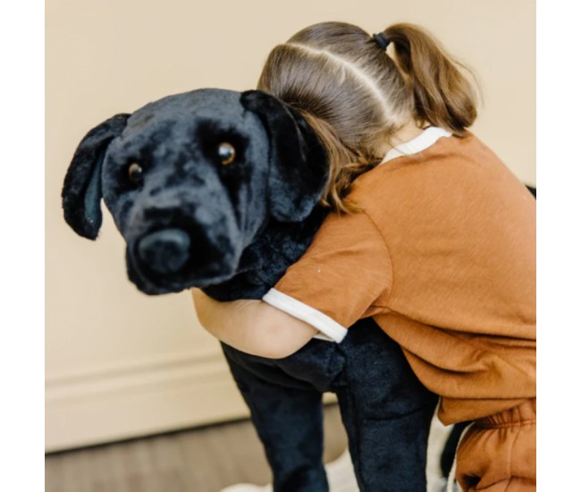 Catel labrador negru gigant din plus