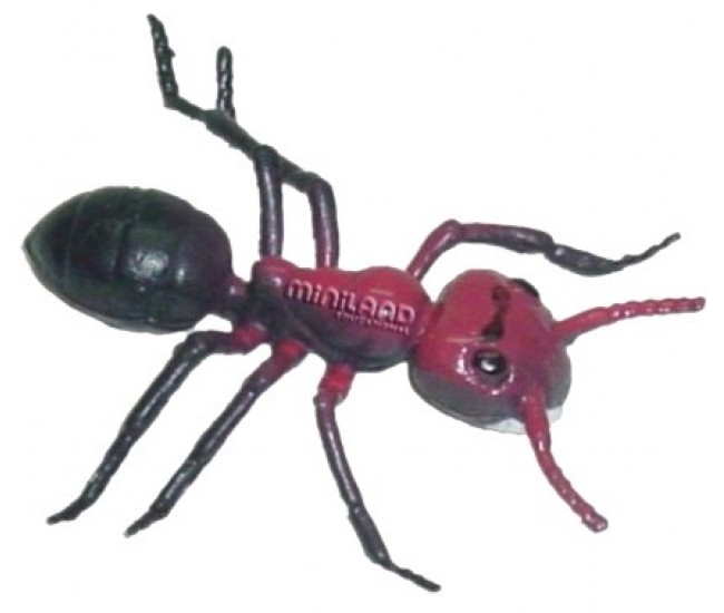 Set de 12 figurine insecte miniland