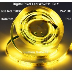 Banda Led 24V Galben, Digital WS2811 IC+Y, 120led/m - IP65 Banda Led 24V Galben, Digital WS2811 IC+Y, 120led/m - IP65