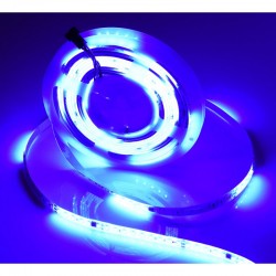 Banda Led 24V Albastru, Digital WS2811 IC+B, 120led/m - IP65 Banda Led 24V Albastru, Digital WS2811 IC+B, 120led/m - IP65