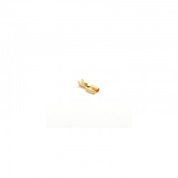 Papuc Electric de Alama Mama 6,3mm ,100buc/set Papuc Electric de Alama Mama 6,3mm ,100buc/set