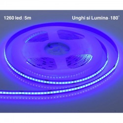 Banda COB Led Albastru - Flexibil - 252led/m - 12W/ml - Rola/5m Banda COB Led Albastru - Flexibil - 252led/m - 12W/ml - Rola/5m