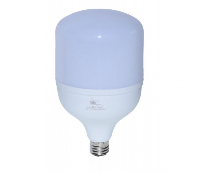 Bec Led de Putere 30W/6500K cu E27