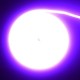 Banda Led Cob Violet Intens Neon Flex - 288led/m - IP65 / 220V - 10W/ml / Rola 5ml