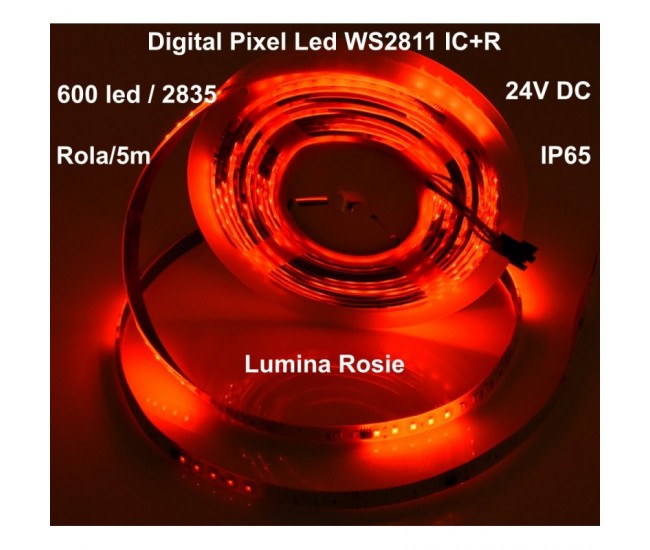 Banda Led 24V Rosu, Digital WS2811 IC+R, 120led/m - IP65