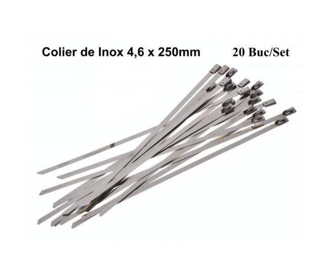 Colier de Inox 4,6 x 250mm, 20Buc/Set