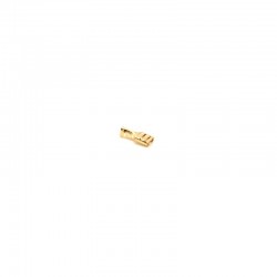 Papuc Electric de Alama Mama 6,3mm ,100buc/set Papuc Electric de Alama Mama 6,3mm ,100buc/set