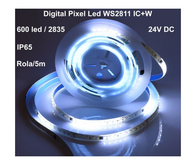 Banda Led 24V Alb-Rece, Digital WS2811 IC+W, 120led/m - IP65