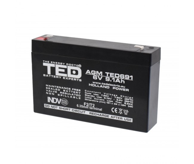 Acumulator Plumb - Acid 6V-9,1A TED