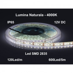Banda Led 12V Exterior IP65- 120led/m, Alb-Natural 4000K, Rola/5m Banda Led 12V Exterior IP65- 120led/m, Alb-Natural 4000K, Rola/5m