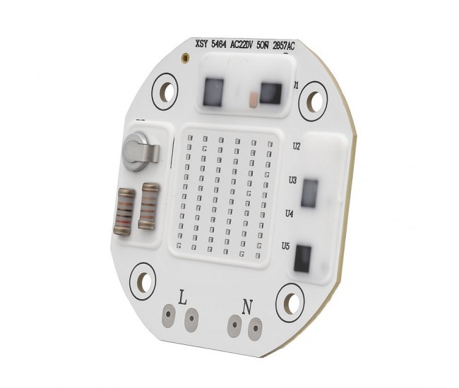 Pastila Led Cob 50W cu Lumina Albastra, 220V AC / XSY-5454