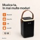 Boxă Portabilă Bluetooth 10W cu Panou Solar, Radio FM SZ-L34