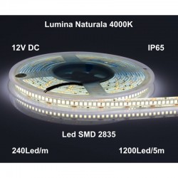Banda Led 12V Exterior IP65- 240led/m, Alb-Natural 4000K, Rola/5m Banda Led 12V Exterior IP65- 240led/m, Alb-Natural 4000K, Rola/5m