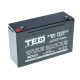 Acumulator Plumb - Acid 6V-13A TED