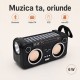 Boxă Portabilă Bluetooth 6W cu 2 Panouri Solare, Radio FM SZ-L20 MINI