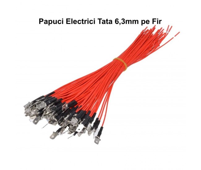Papuc Electric 6,3mm Tata cu Fir 100buc/set