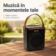 Boxă Portabilă Bluetooth 10W cu Panou Solar și Radio FM SZ-L11M