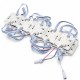Set 20 Module LED RGB Adresabile 24V, 6 LED 3030, IP65, SM16703
