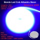 Banda Led Cob Albastru Intens Neon Flex - 288led/m - IP65 / 220V - 10W/ml / Rola 5ml