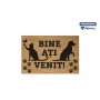 COVORAS INTRARE ANTIDERAPANT 60X40 CM, PAWS, HEINNER HOME